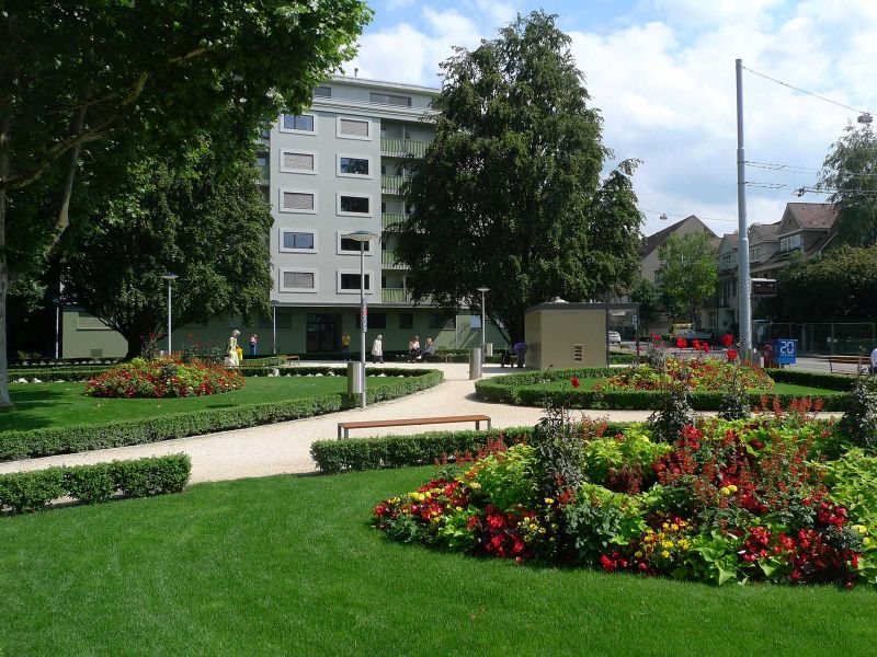 Der Umgestaltete Platz als Grüne Insel mit Blumenschmuck (Wechselfloor) und den mächtigen, geschützten Blutbuchen