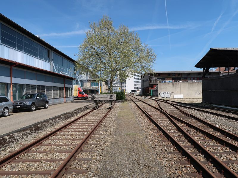 Das Gleisfeld bietet Raum für den Gleisbogen - eine attraktive Parklandschaft entlang der Gleise